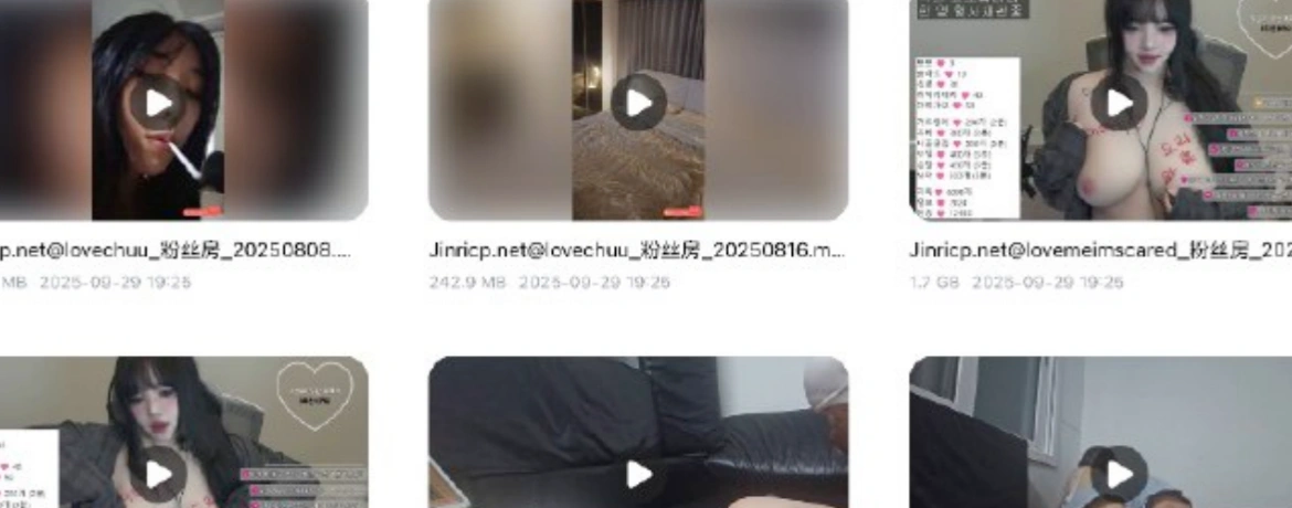 13名韩国BJ 日常主播 2025年8月 粉丝房+密码房 VIP 合集包 [42V / 24.2G ]